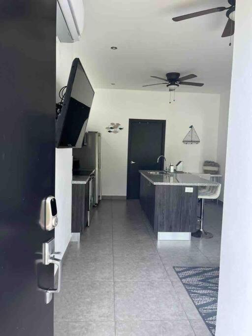 Apartment Lapa G1